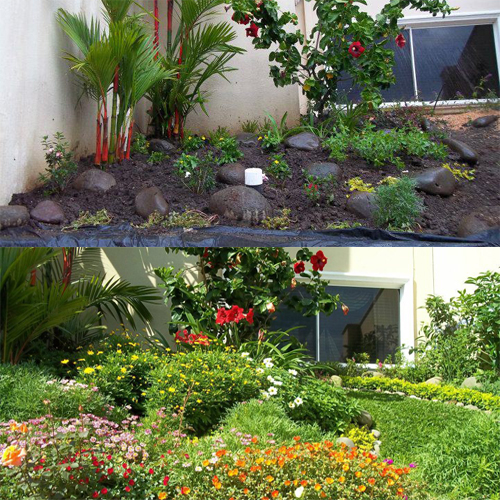 Antes y despues de un jardin por soluciones rodriguez